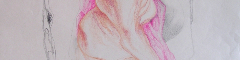 immagine header 4