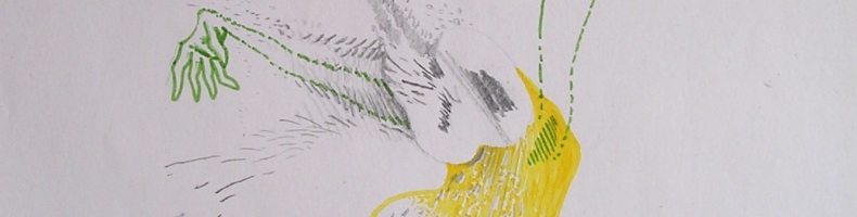 immagine header 6