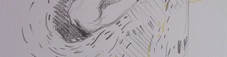 immagine header 5