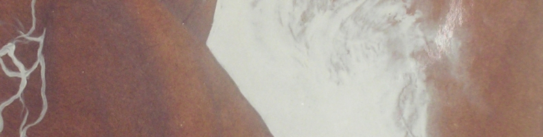 immagine header 3
