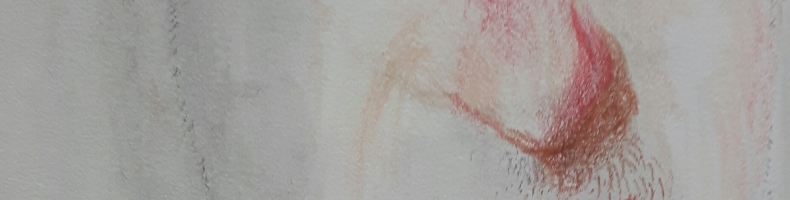 immagine header 1