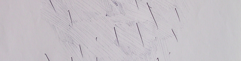 immagine header 9