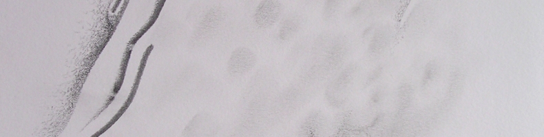 immagine header 2